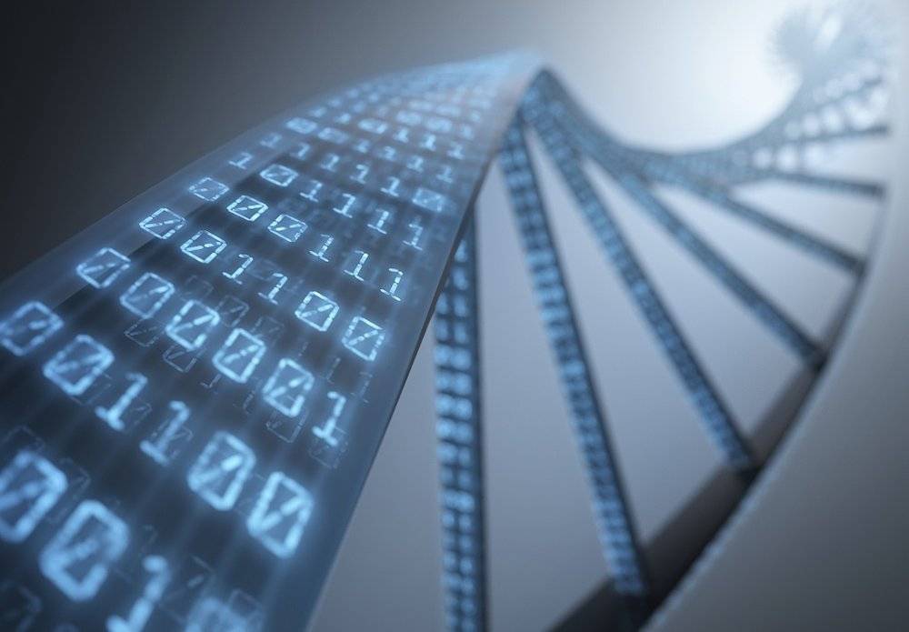 中国科学家把汉字存入DNA，DNA存储未来如何发展？